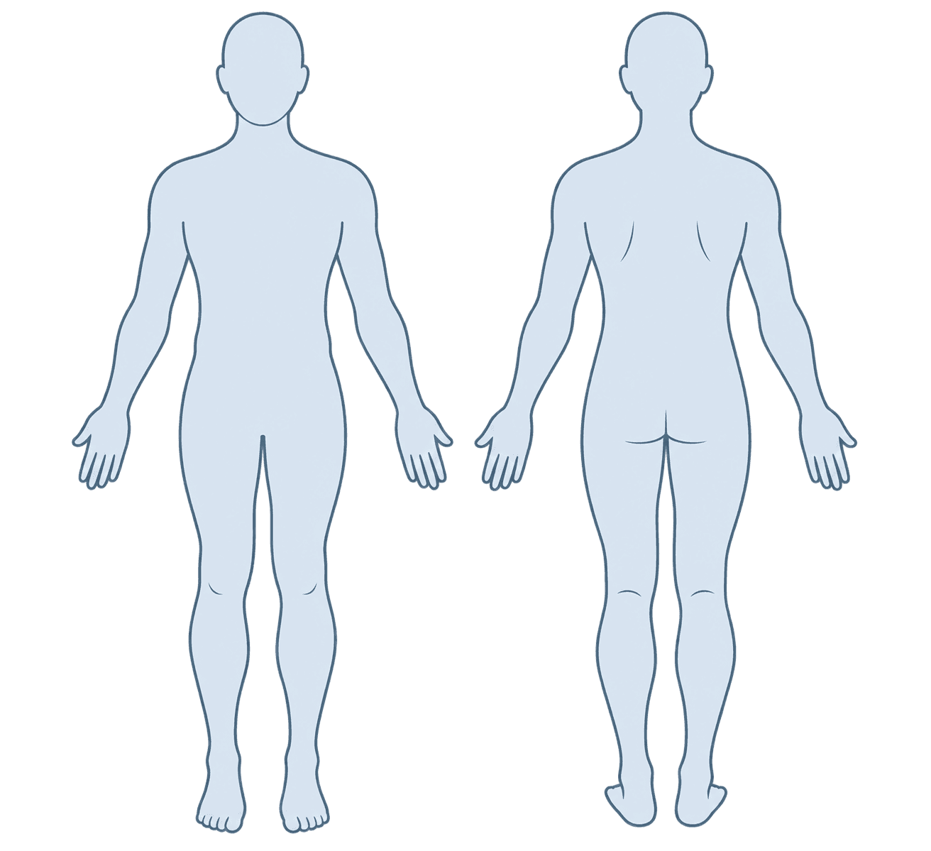 Önden ve arkadan insan vücudu anatomik bölge seçimi